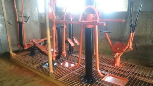 دستگاه بدنسازی پارکی